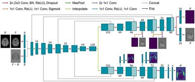 Image registration and appearance adaptation in non-correspondent image regions for new MS lesions detection